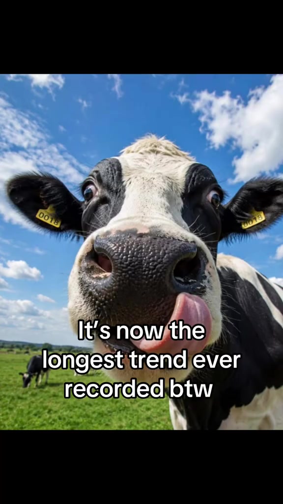 @ht<3