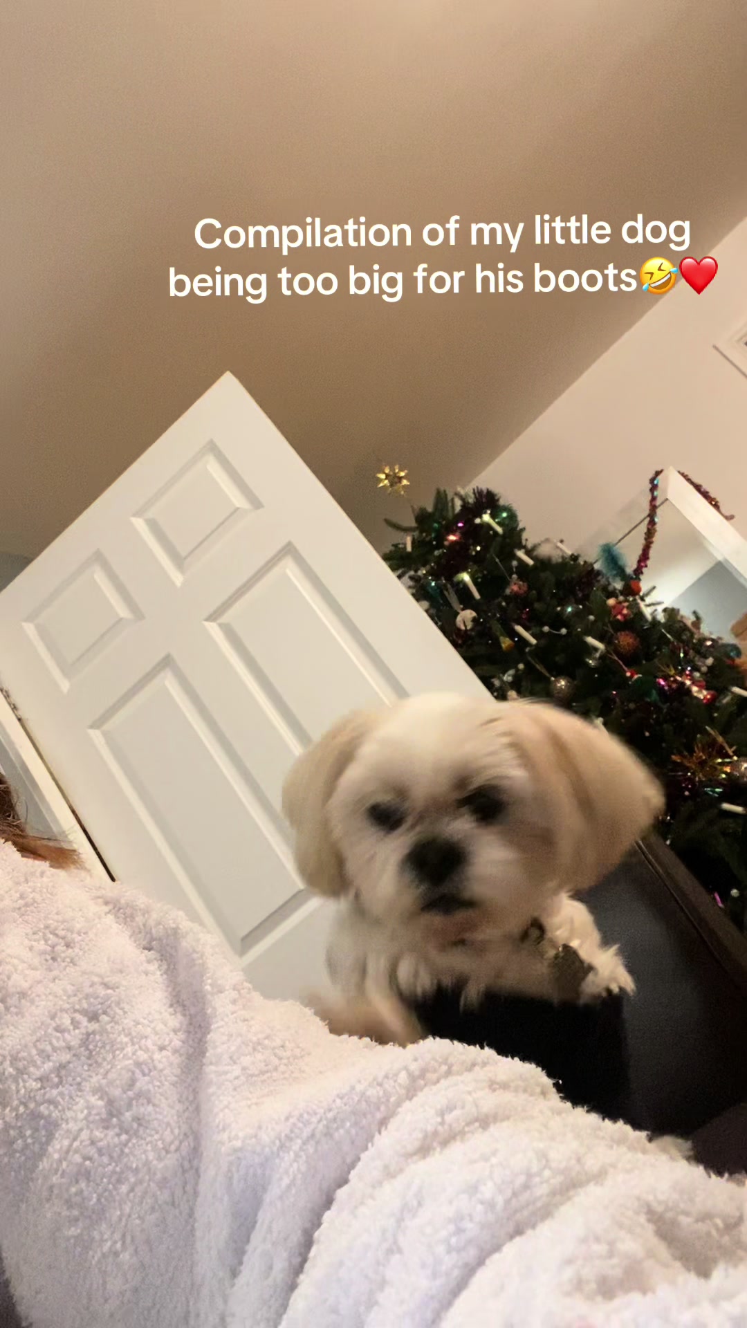 @evsdumps