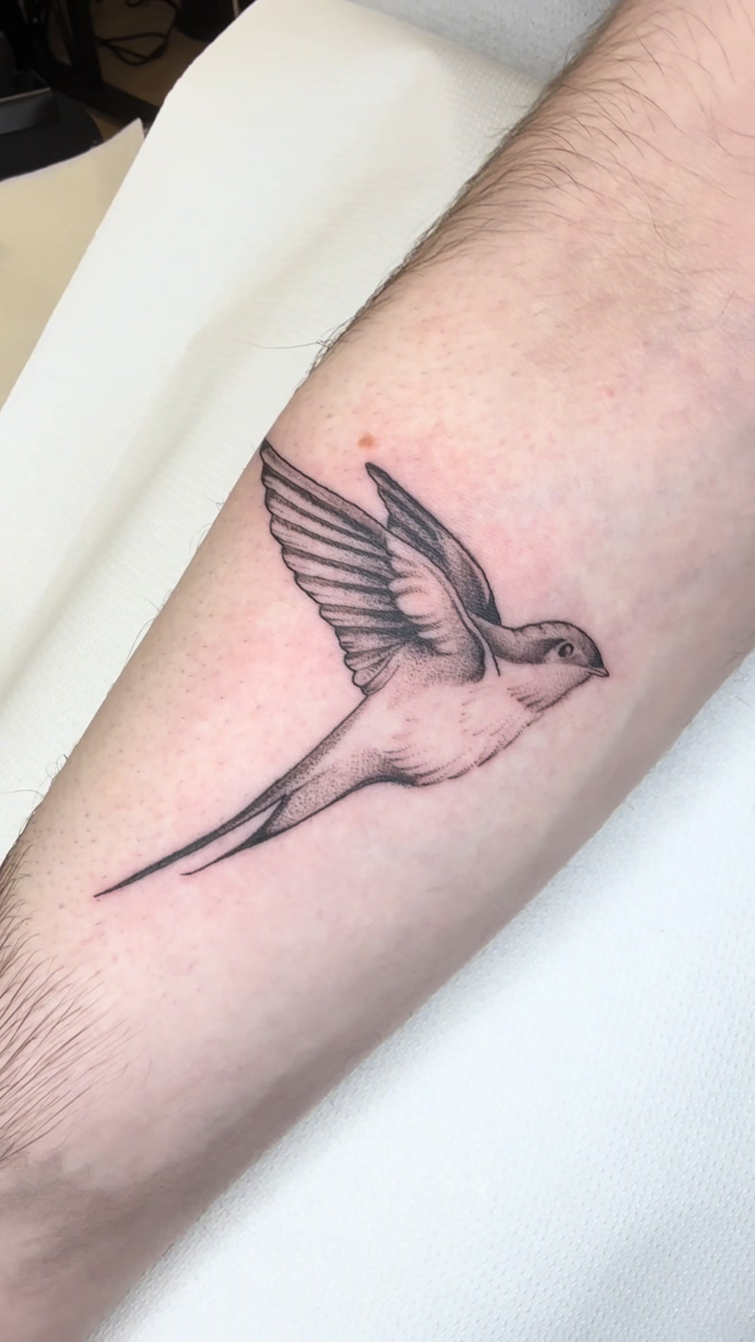 @Preston_ink