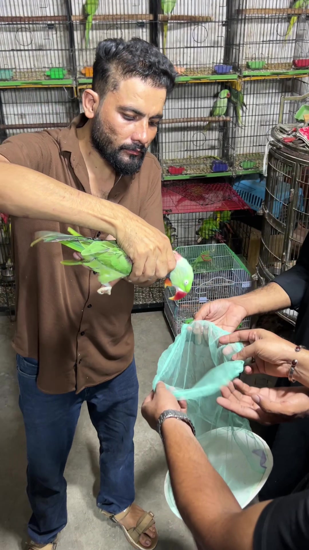 @Usama pet shop Karachi