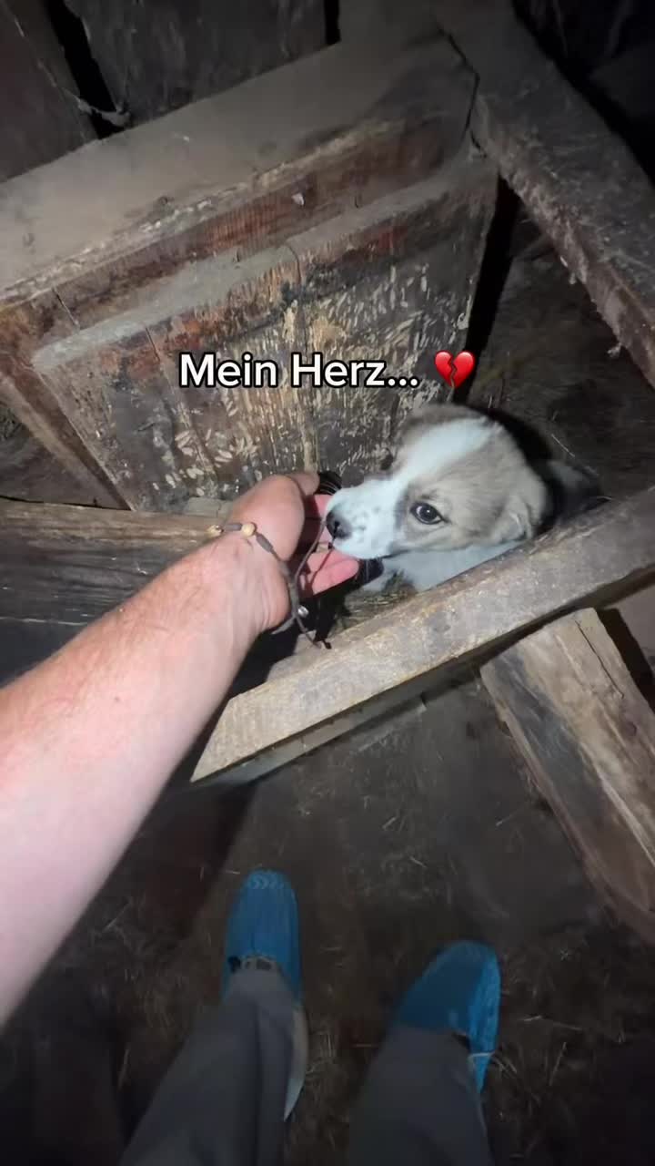 @natürlich patrik