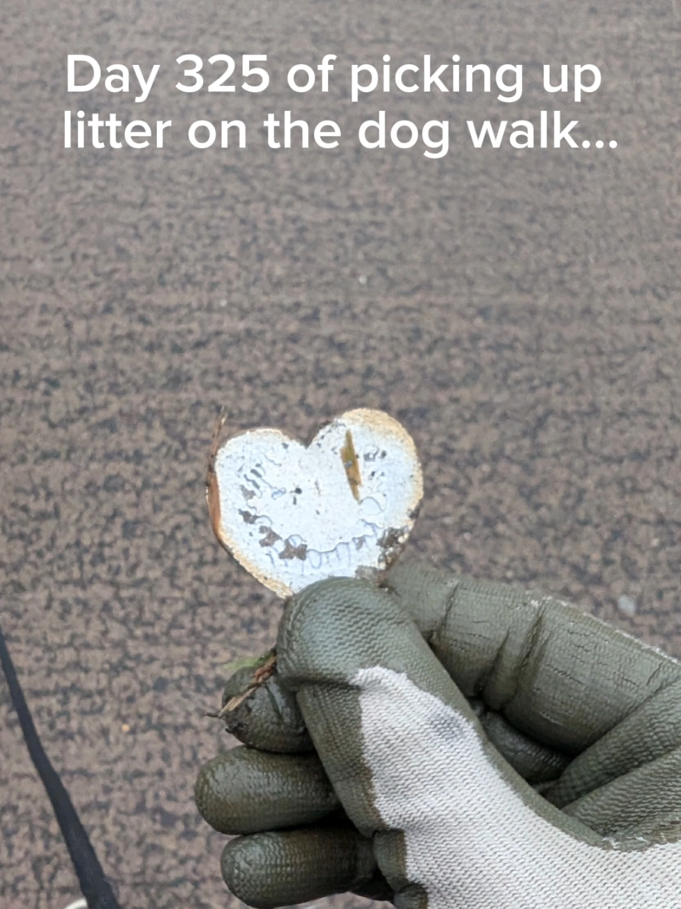 @LitterWalkiesWithRu