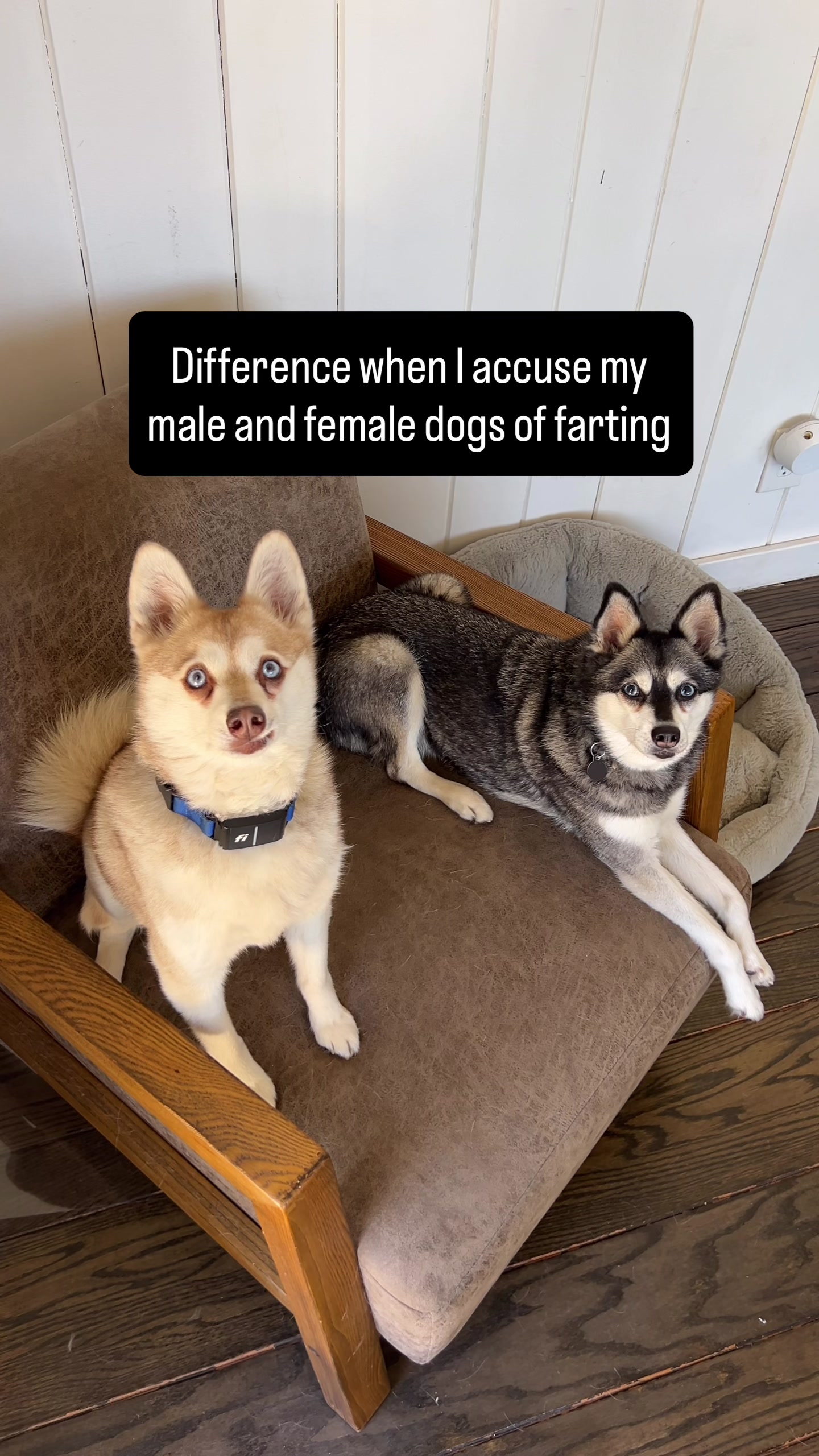@lifewithkleekai
