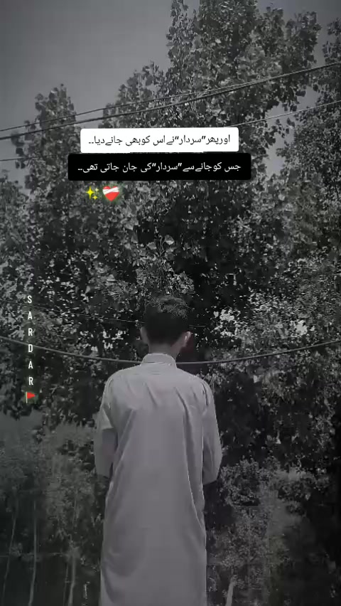 @🚩🍁ریان کہتے ہیں🫀✨🥀