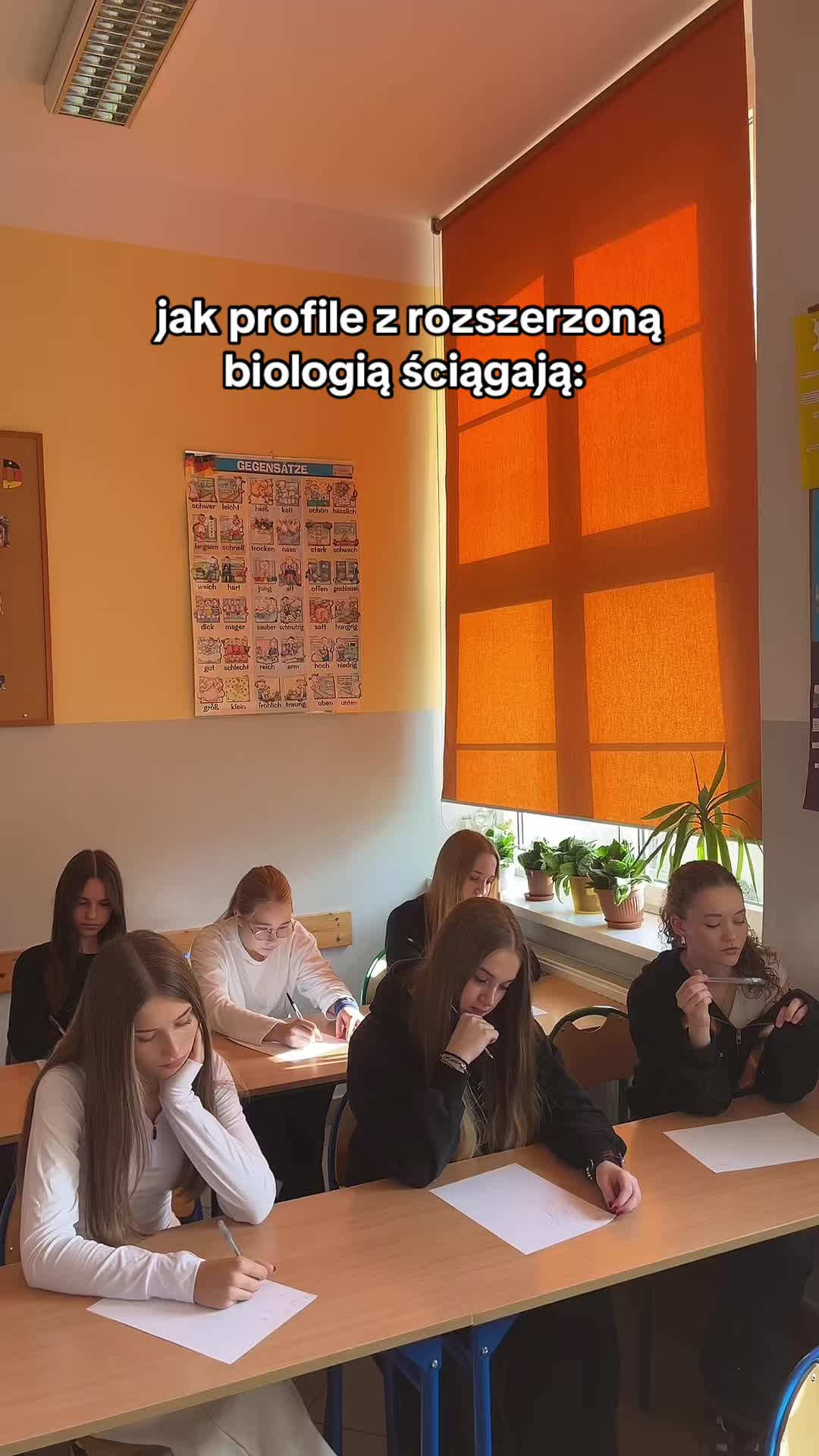 @Liceum_jedynka