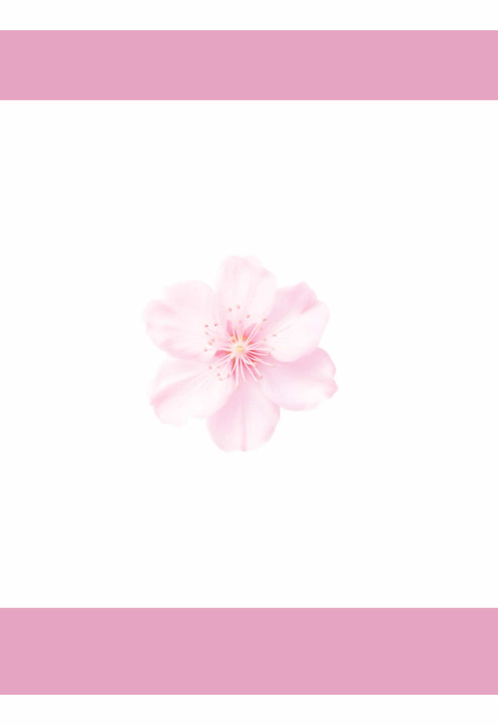 @💗アリサ🧁⋆˙⟡
