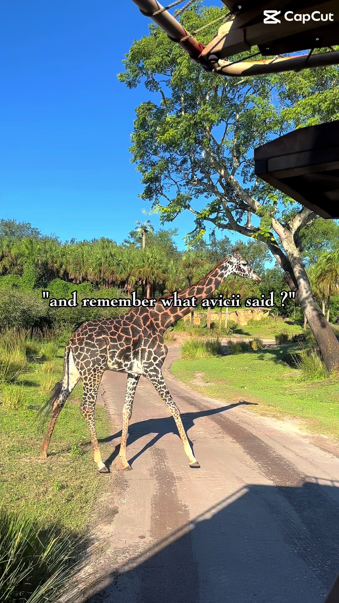 @Lauren