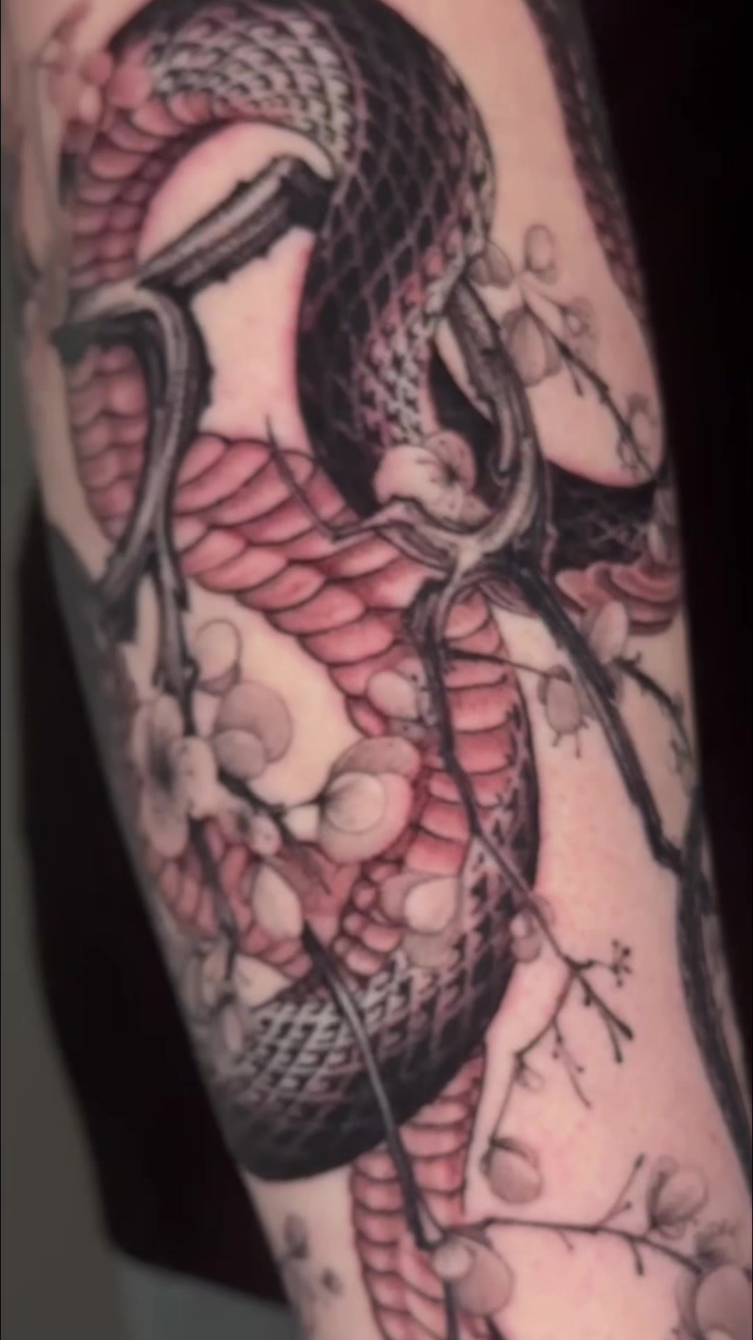 @Southgate SG Tattoo