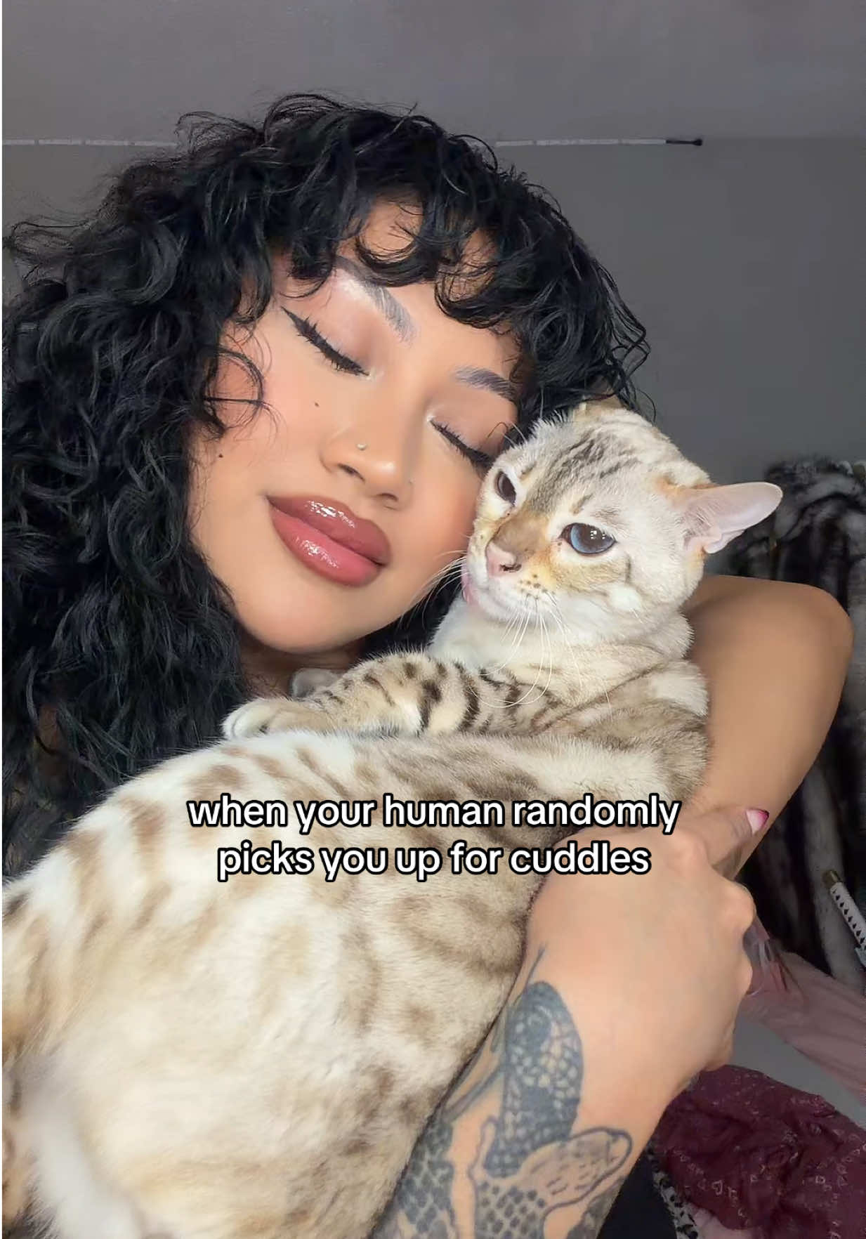 @Mirajane The Bengal🐾