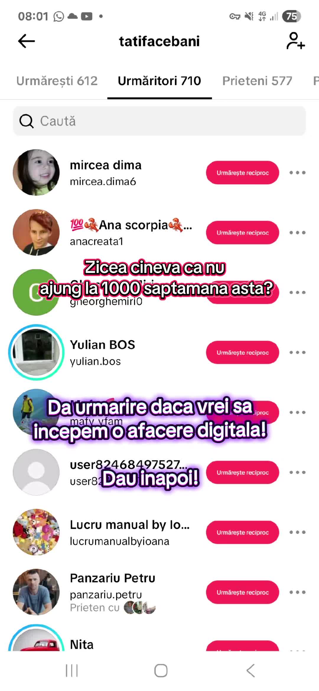 @tatifacebani