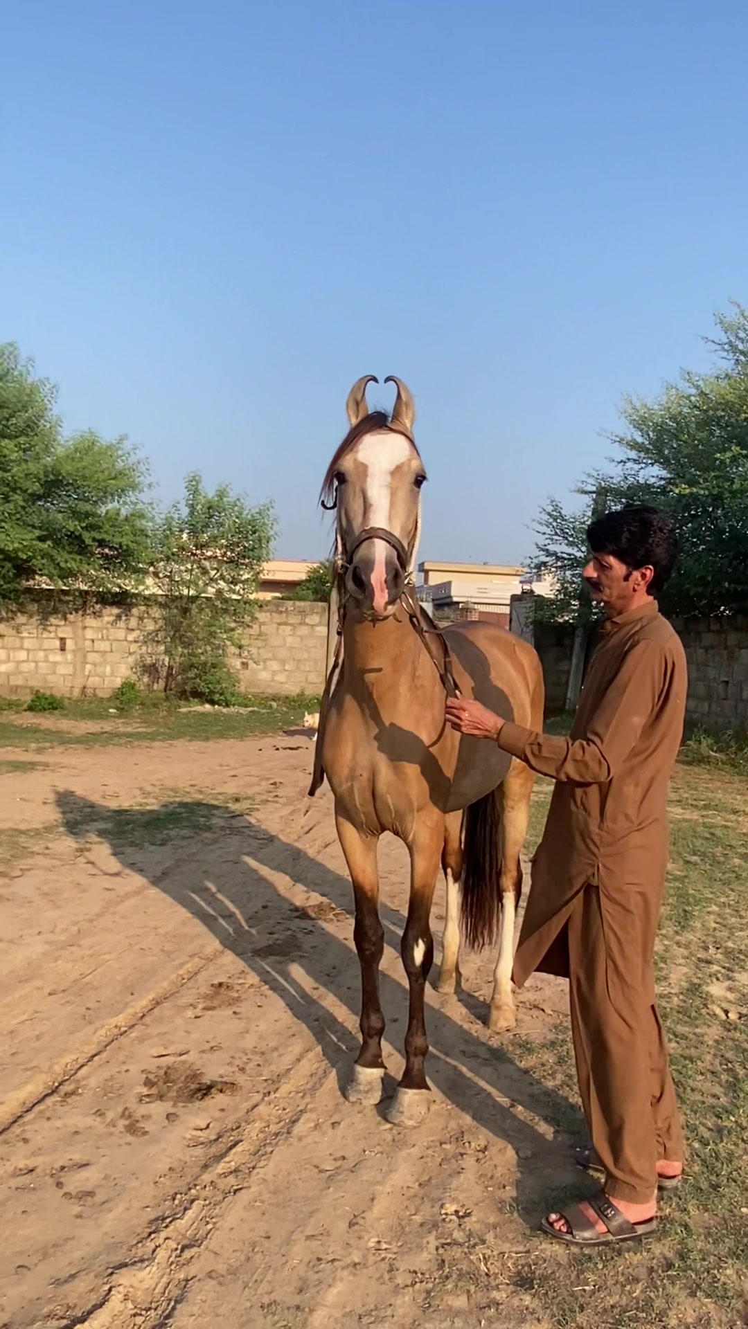 @Hayat Raza