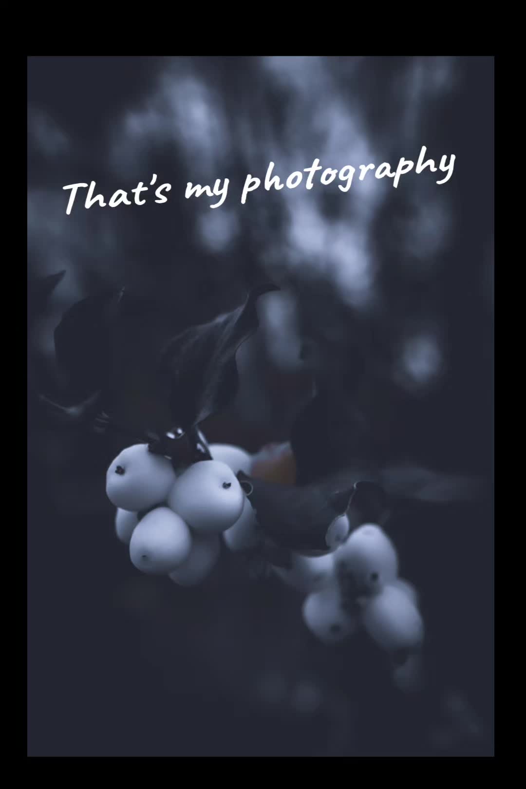 @sewingtitchy