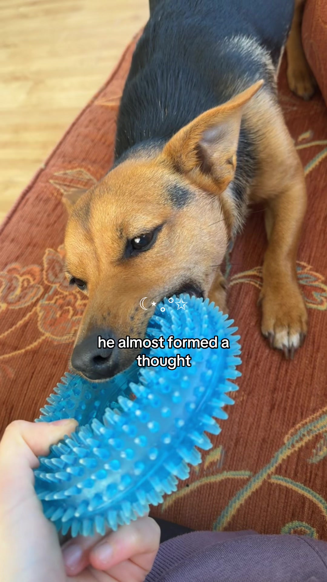 @midnight ⋆˙⟡