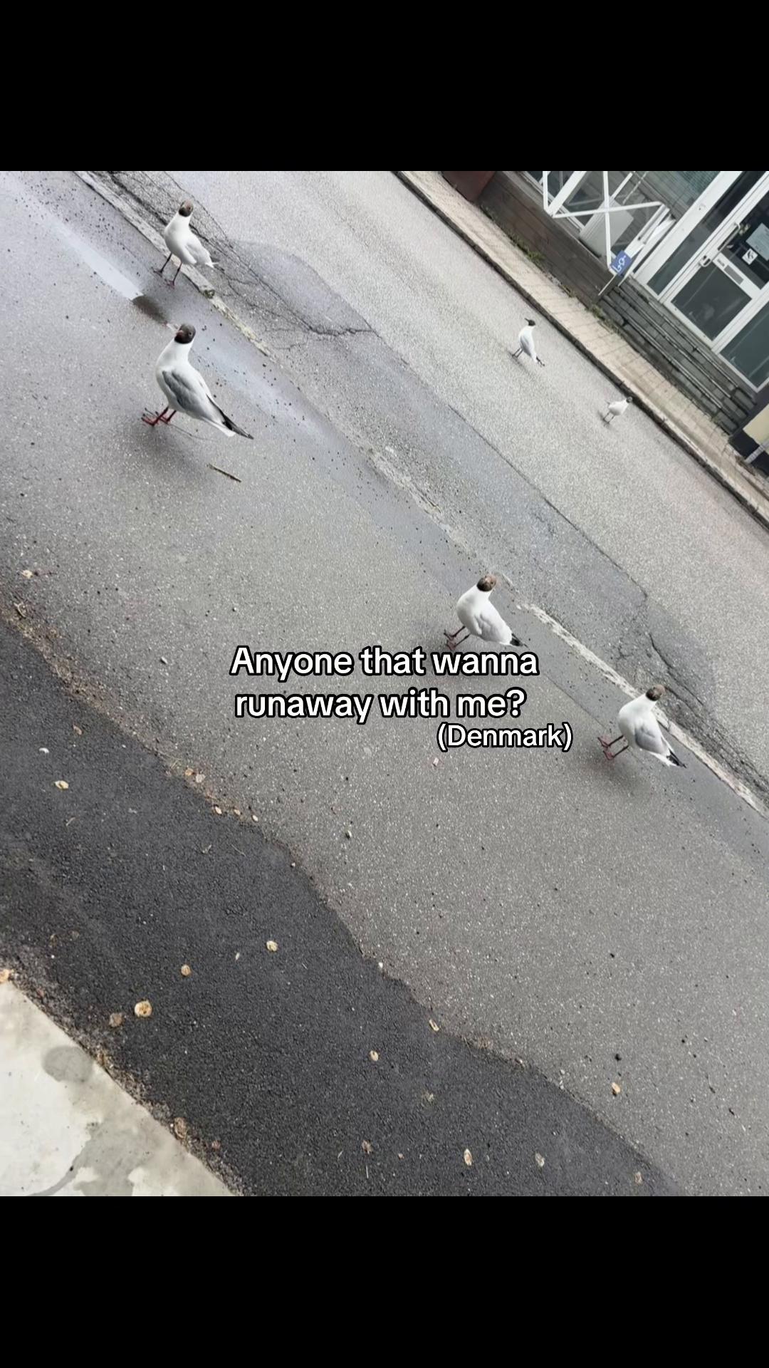 @️