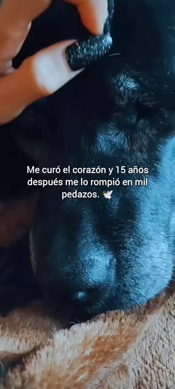 @Whitepraxis