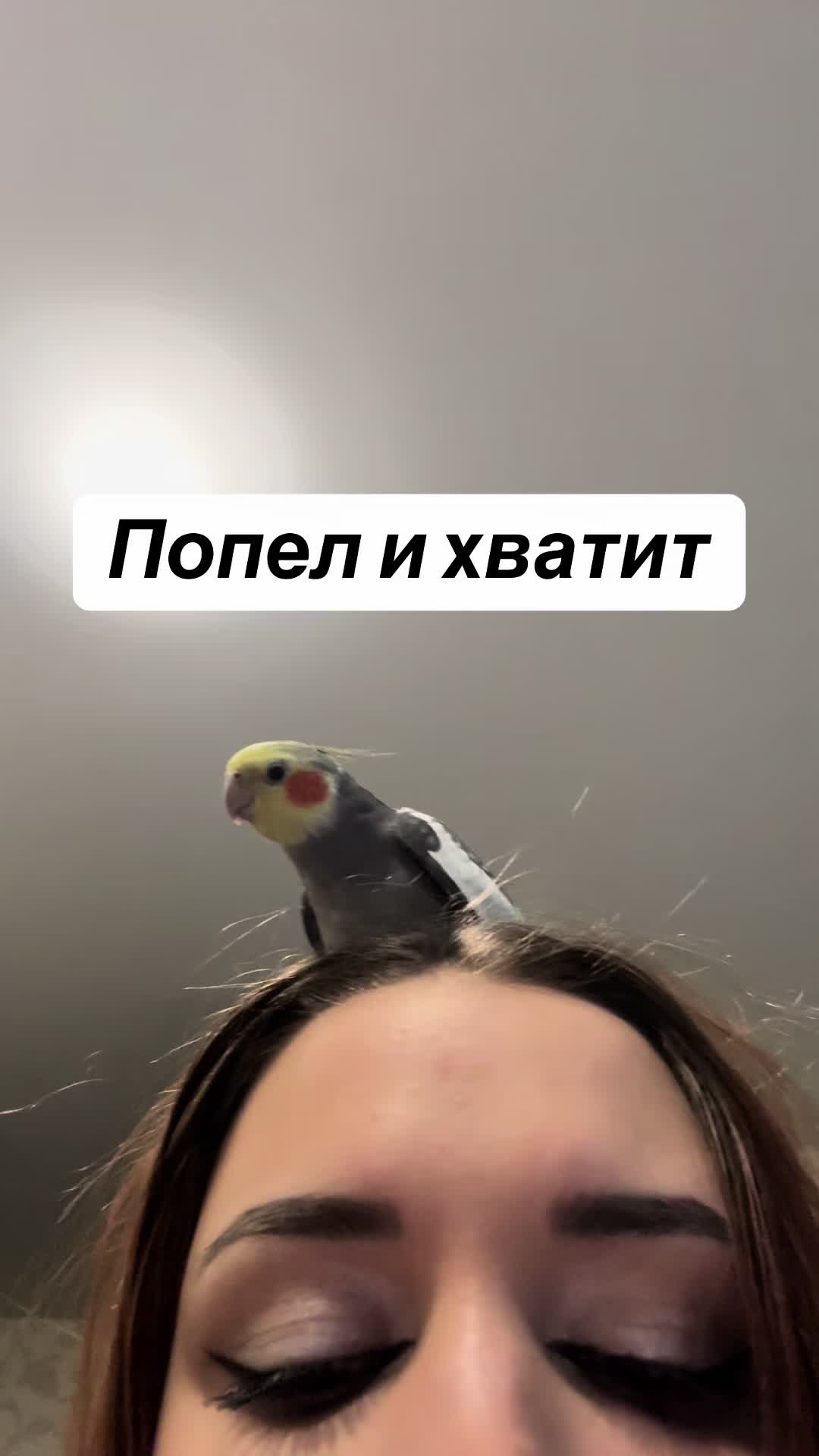 @𝓘𝓛𝓐𝓝𝓐 and Lelik