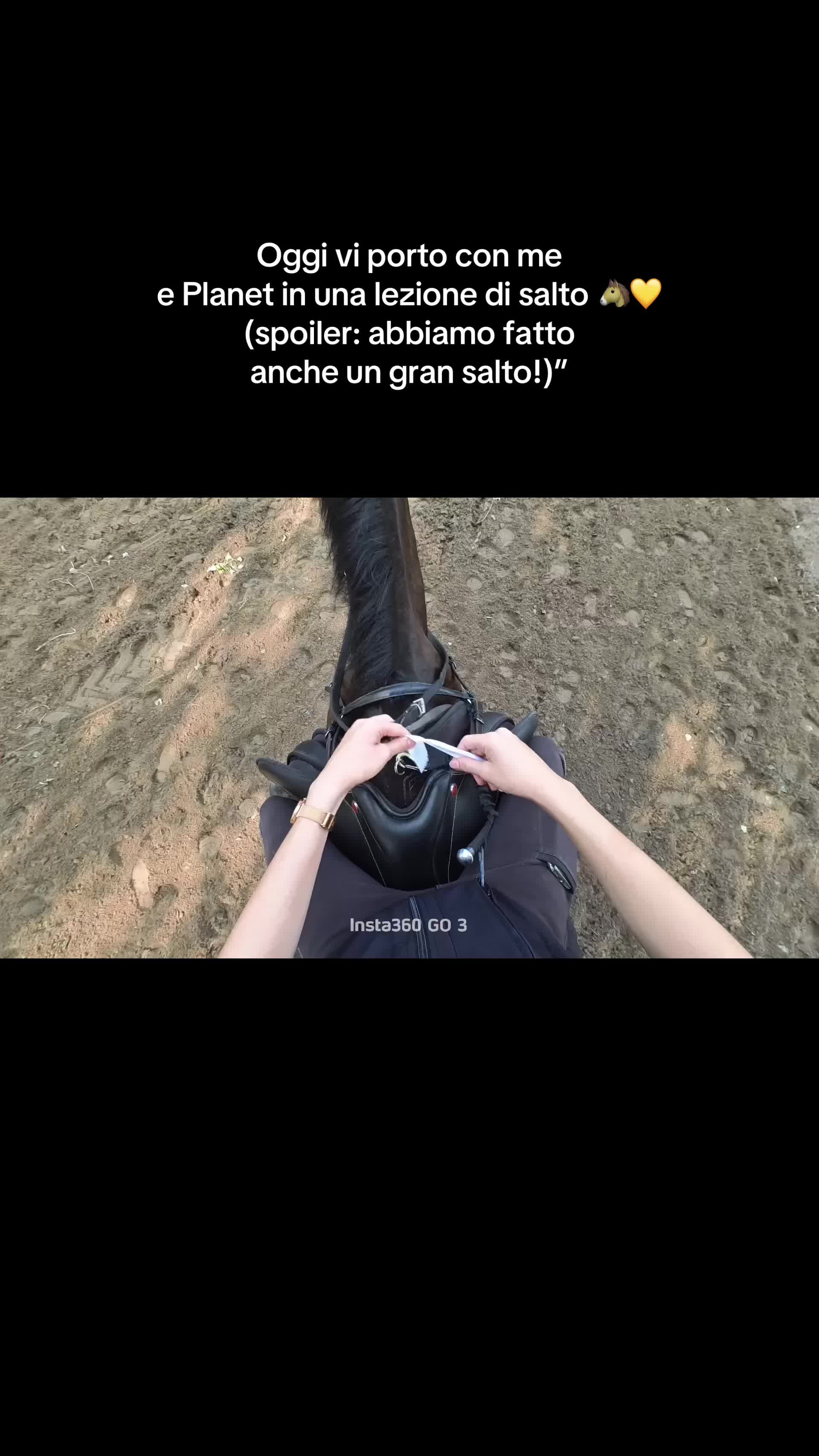 @Arianna_boiago