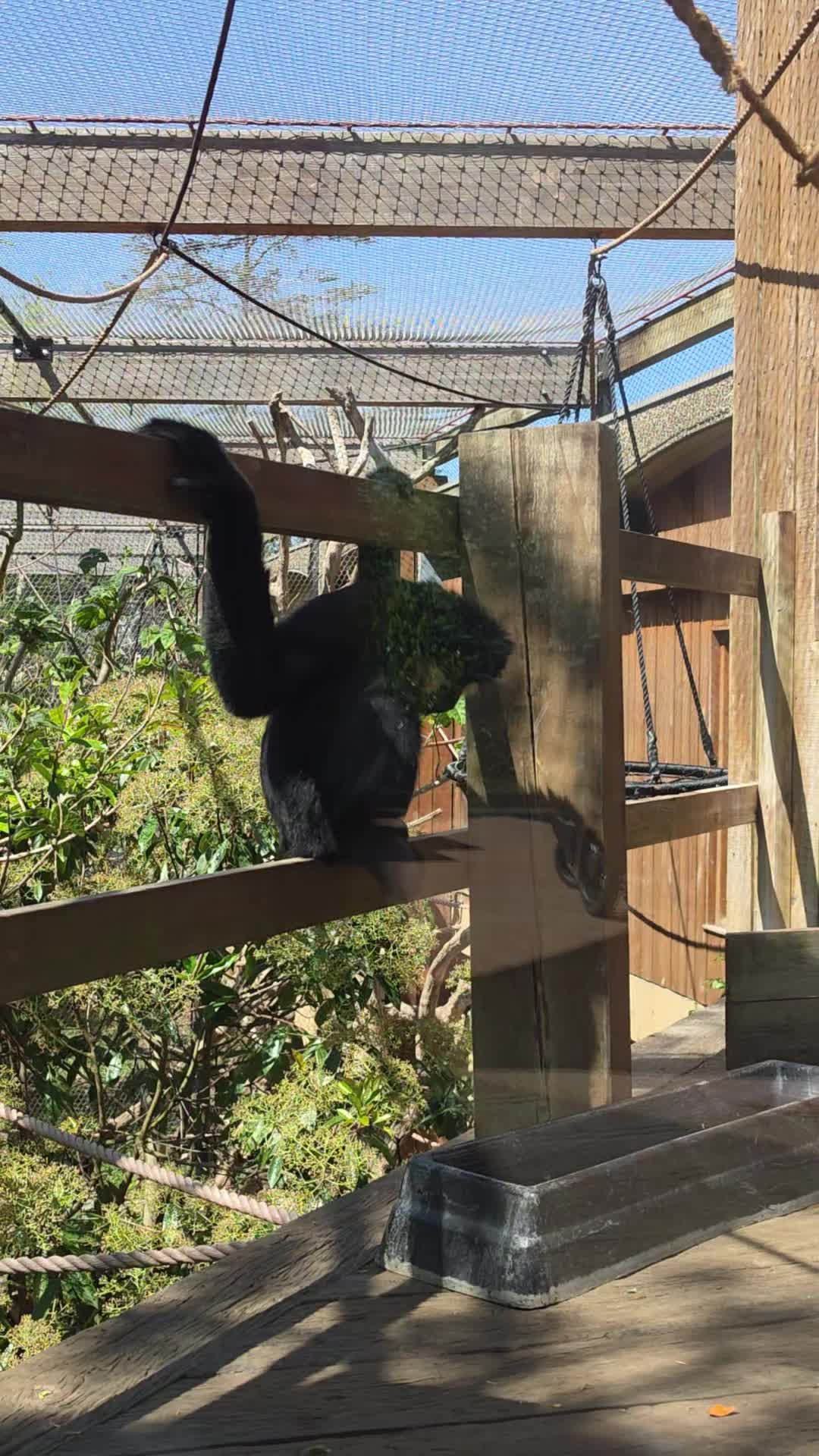 @varsha rathod