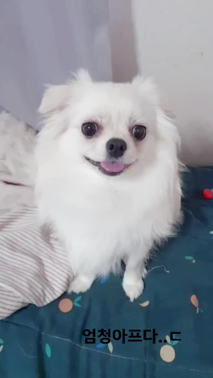 @๋ง์ค