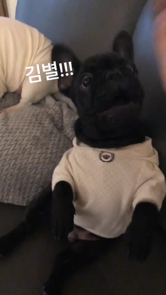 @프블리