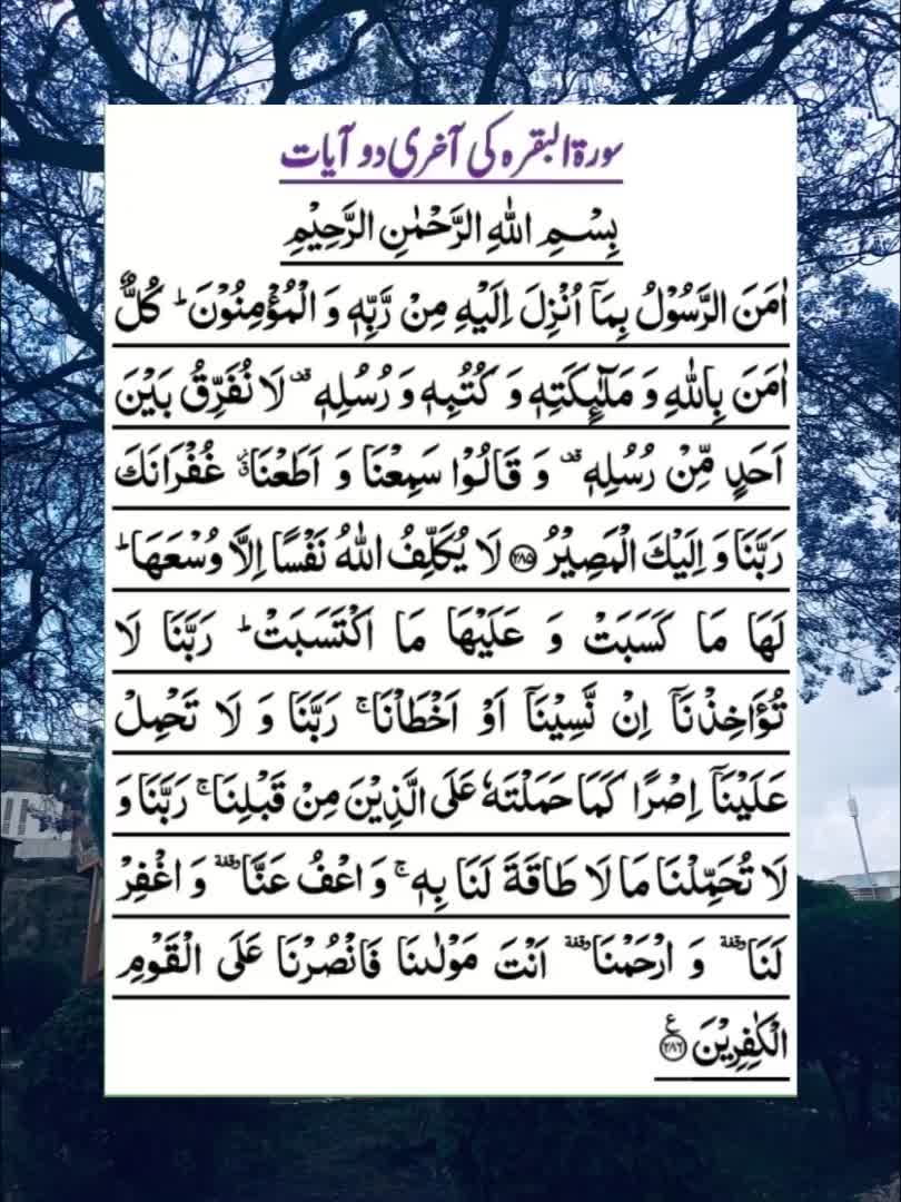@❤️Quran&Ahadith❤️