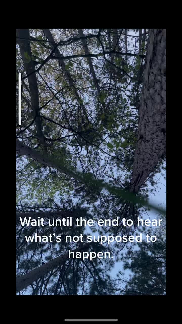 @sginn10
