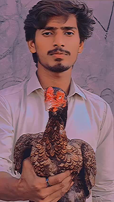 @🕷️😈⚢MOEEN⚢😈🕷️