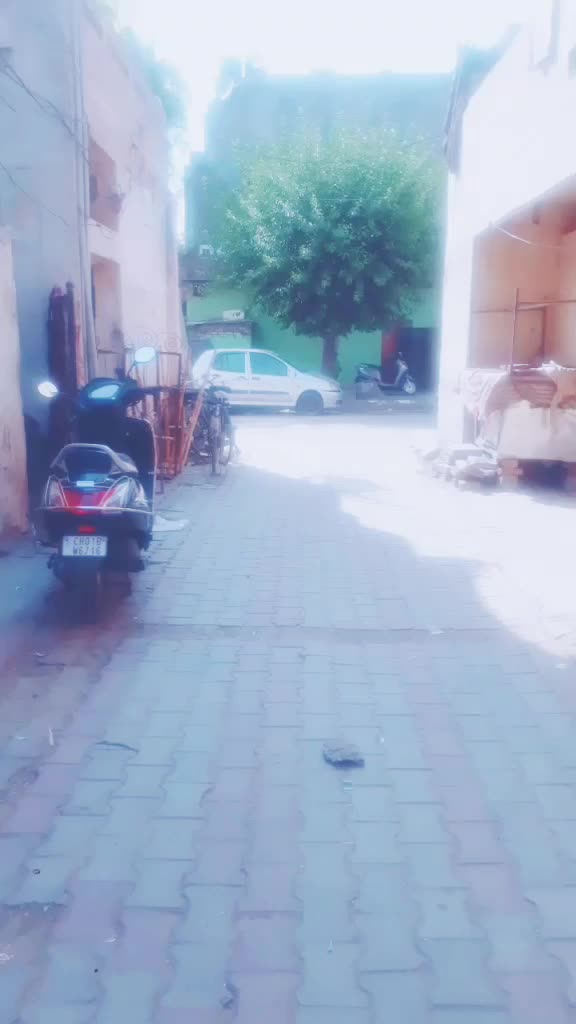 @qureshi boy