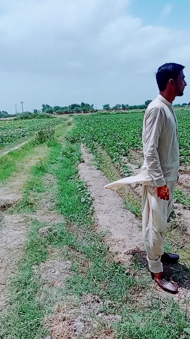 @Arwan Ali