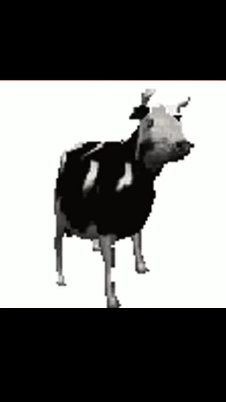 @appassionatodimotori0