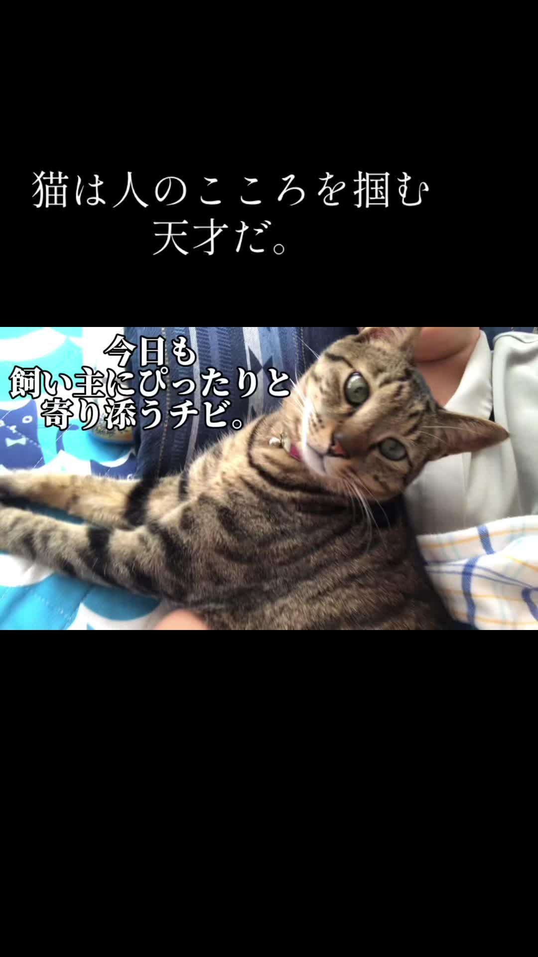 @こゆきチャンネル