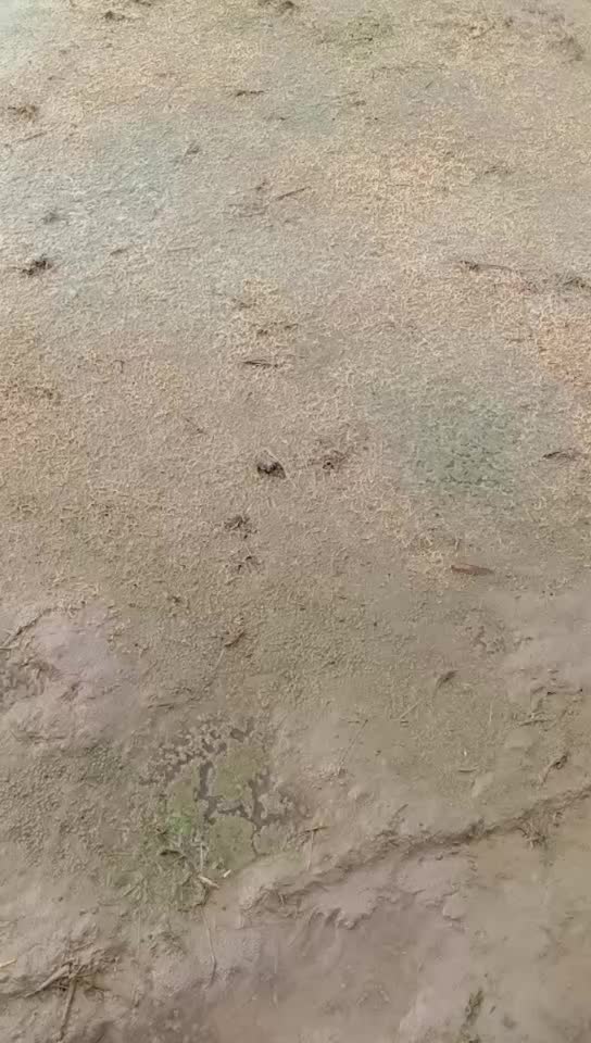 @Naveen Theegala