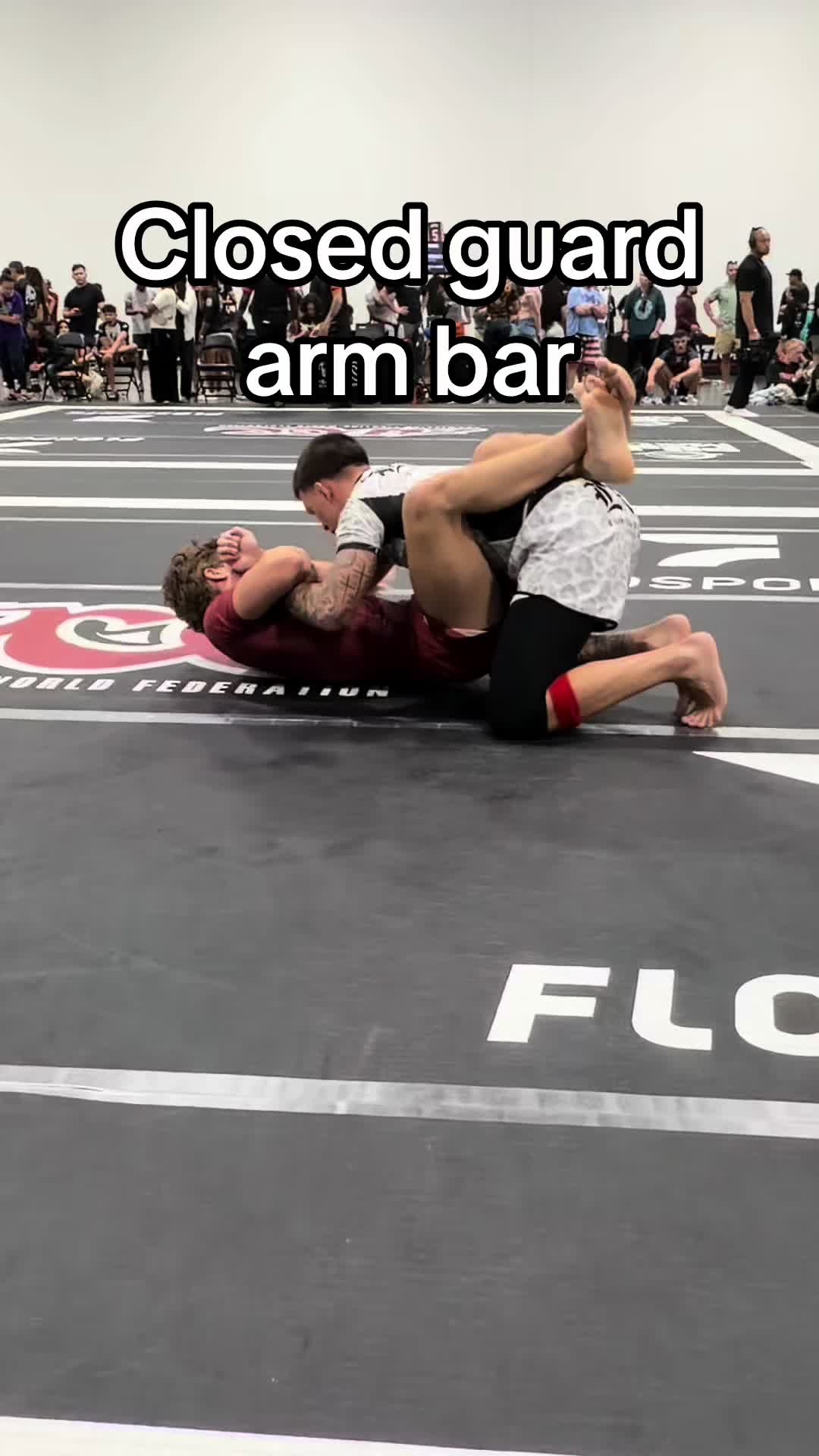 @bologod