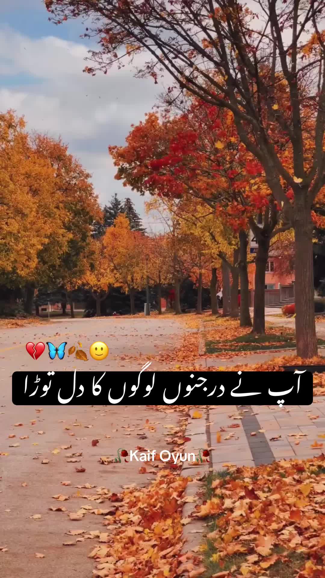 @Kaif Oyun