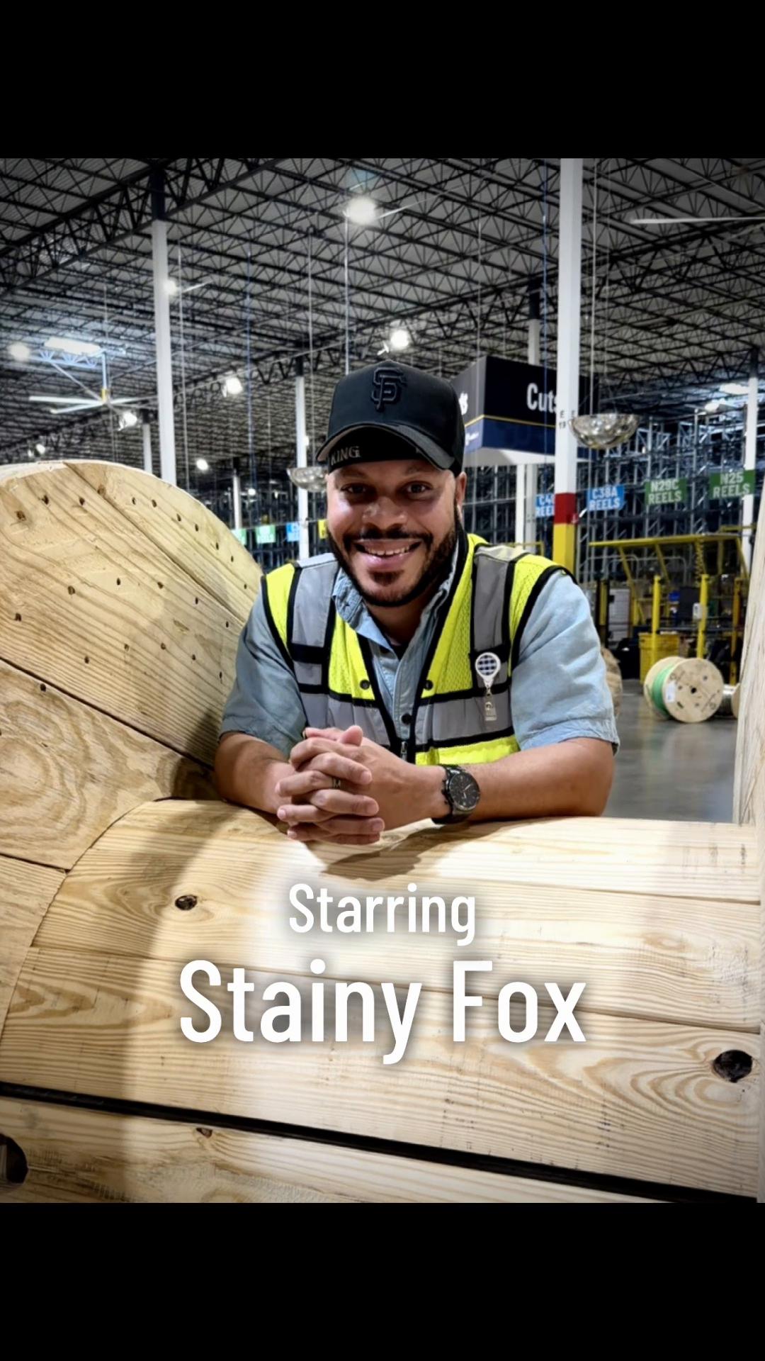 @Stainy Fox&trade;