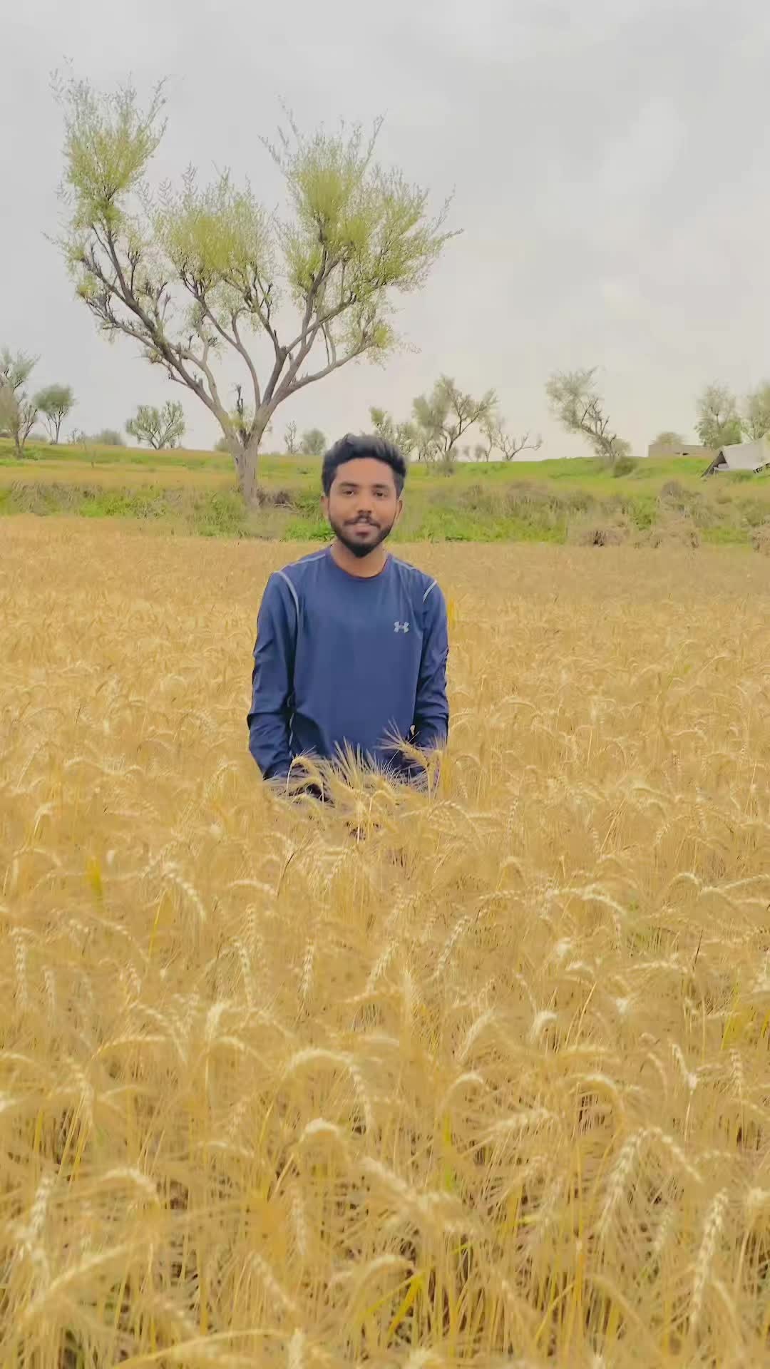 @Wahab Ali