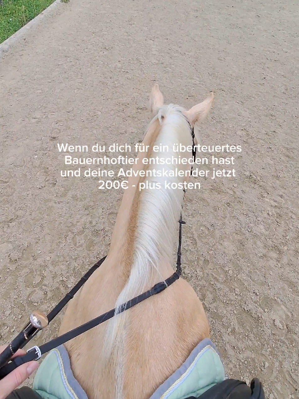@Laura Schmidt