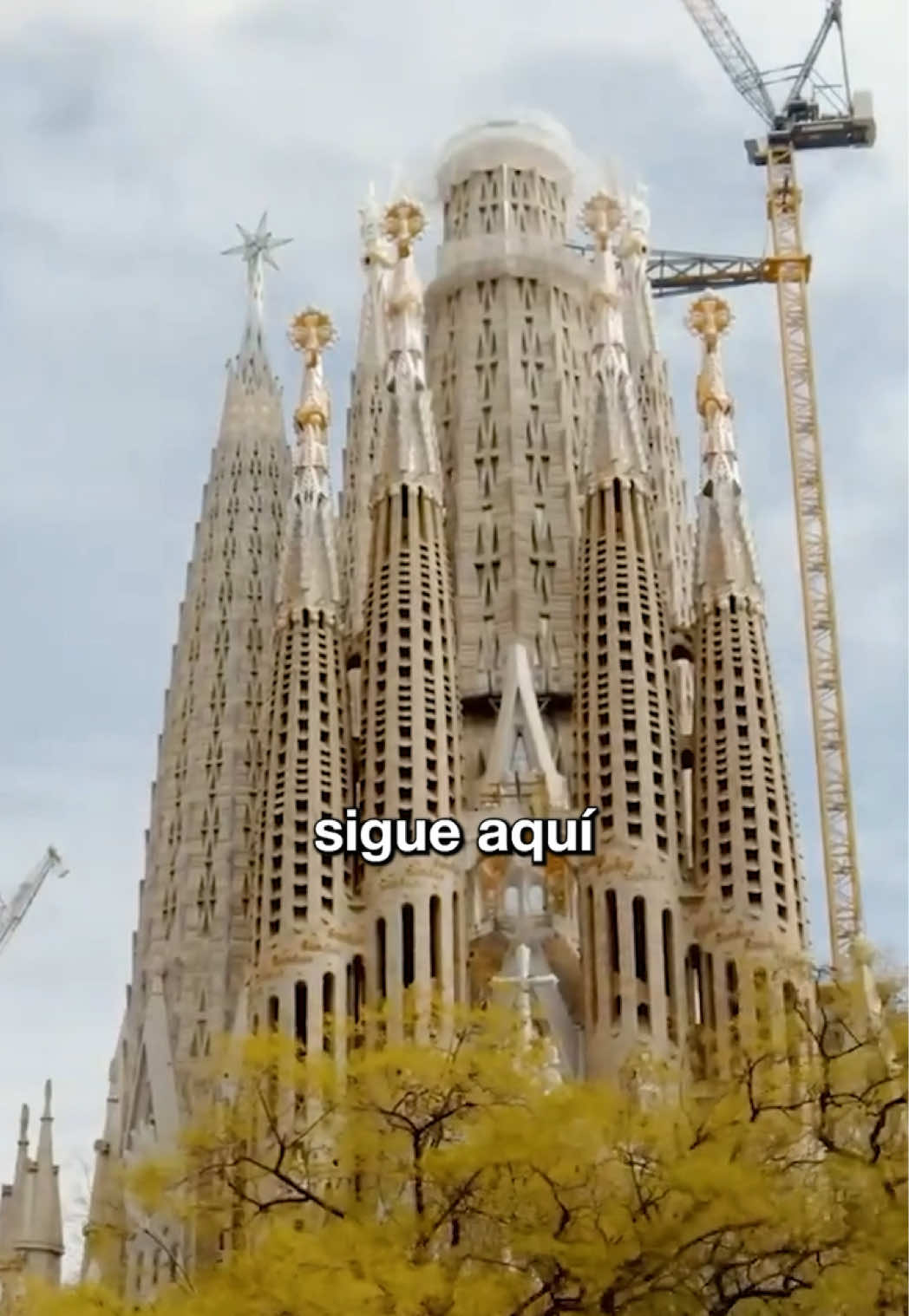 @nil