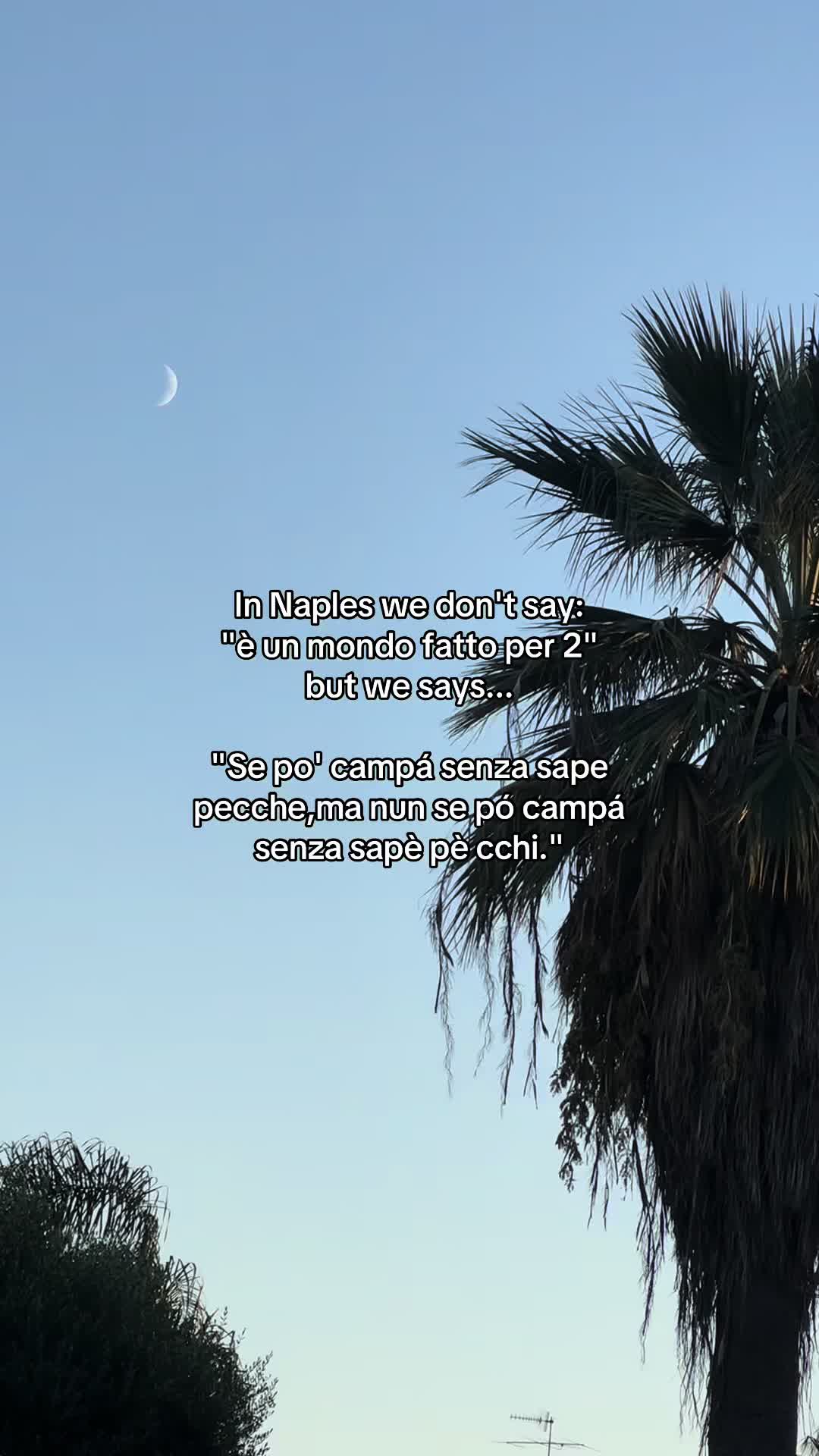 @🌙