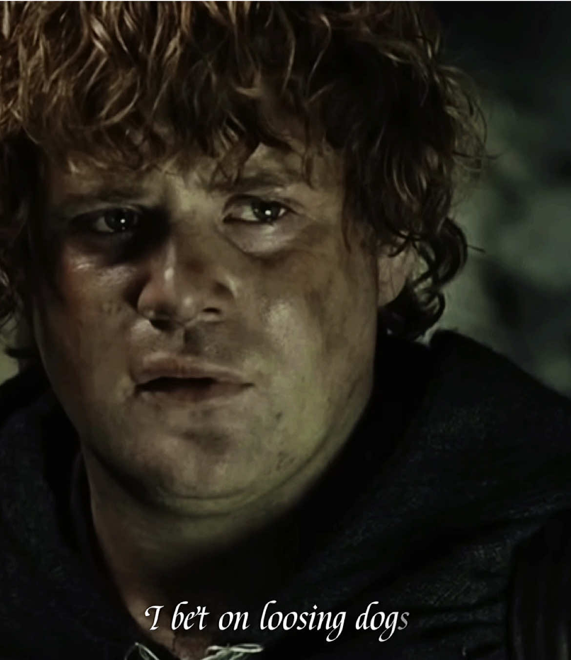 @✨Samwise the brave✨