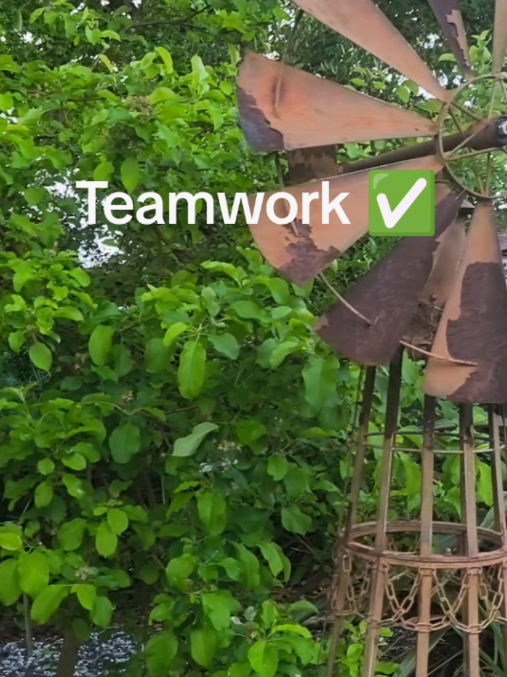 @Teamwork