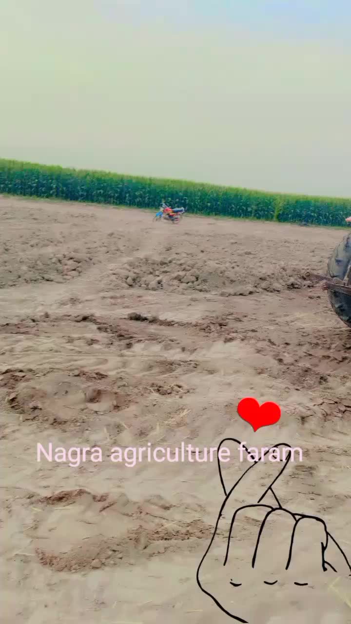 @Naseem Nagra 3