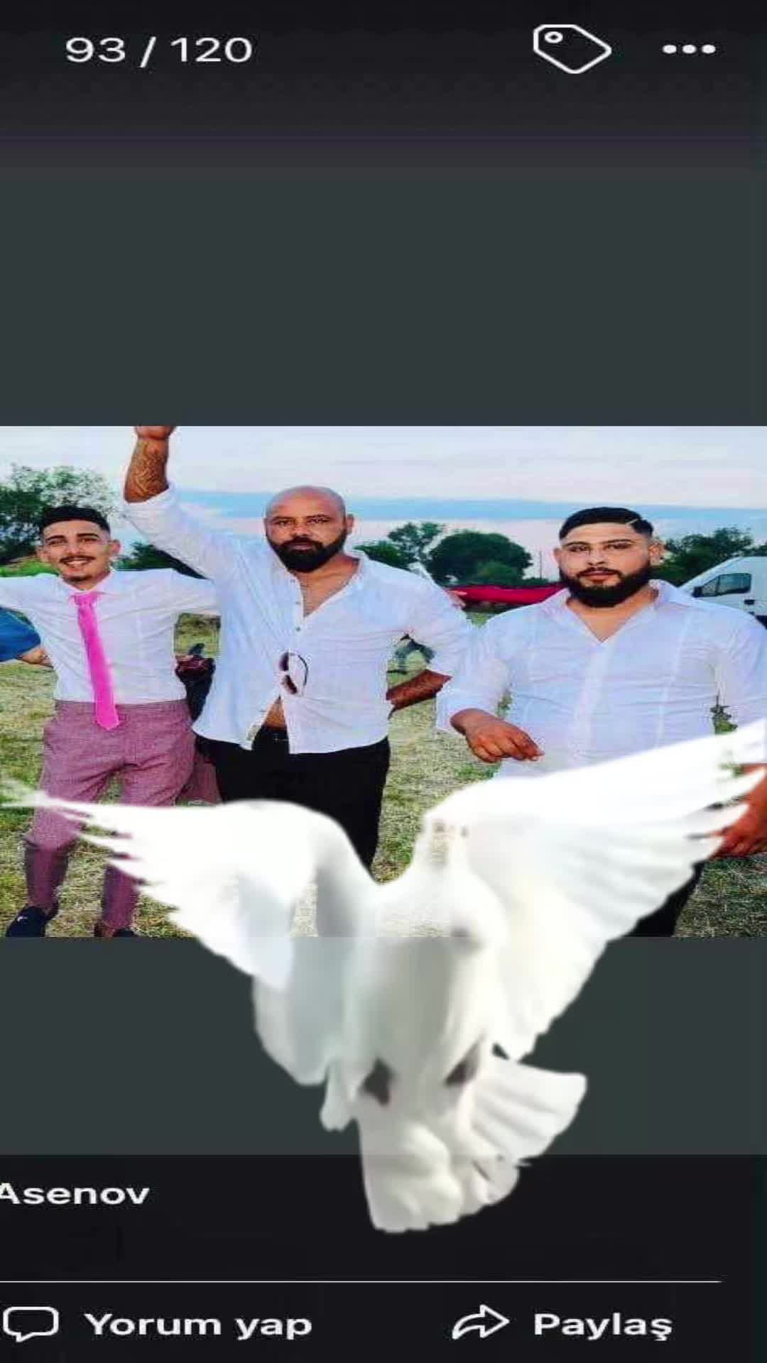 @Salim tigarai