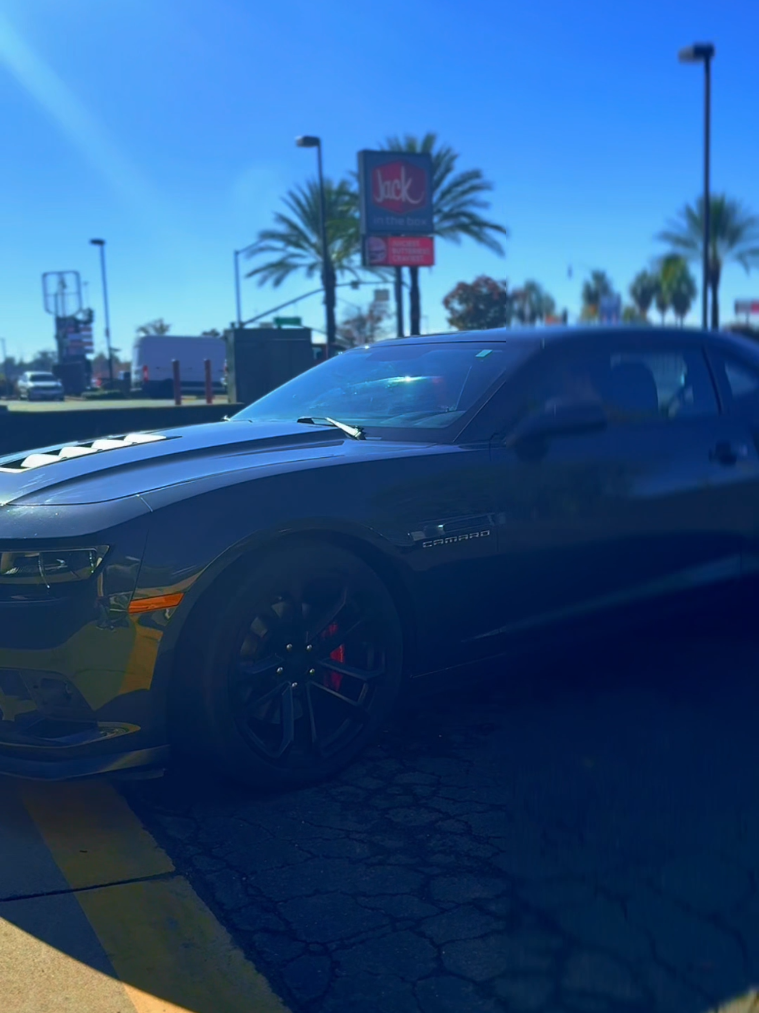 @Stealth Window Tint