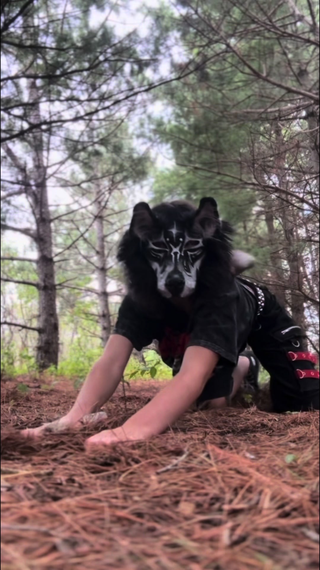 @🌲🌿🪨RAVEN🪨🌿🌲