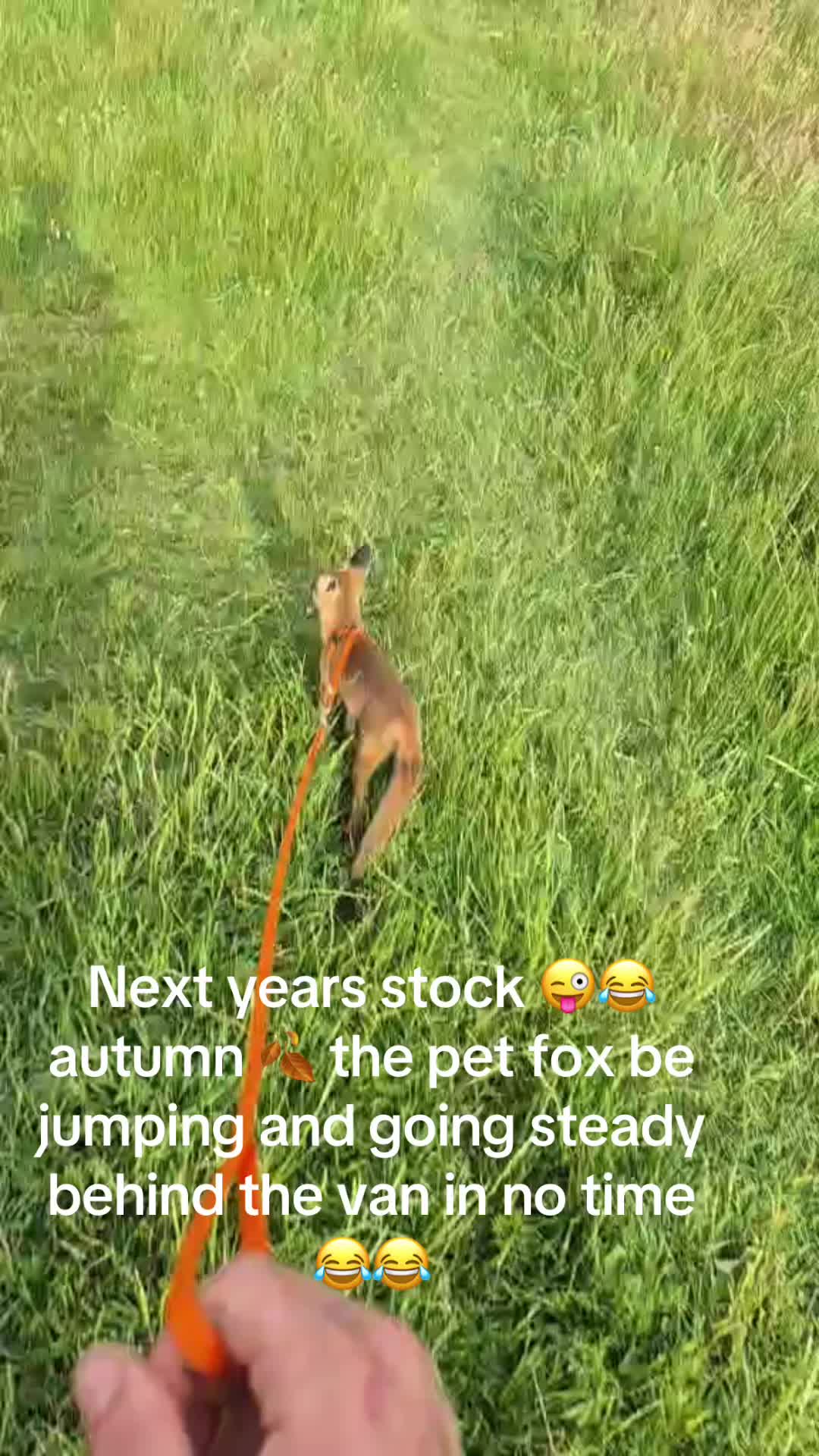 @phatz1990