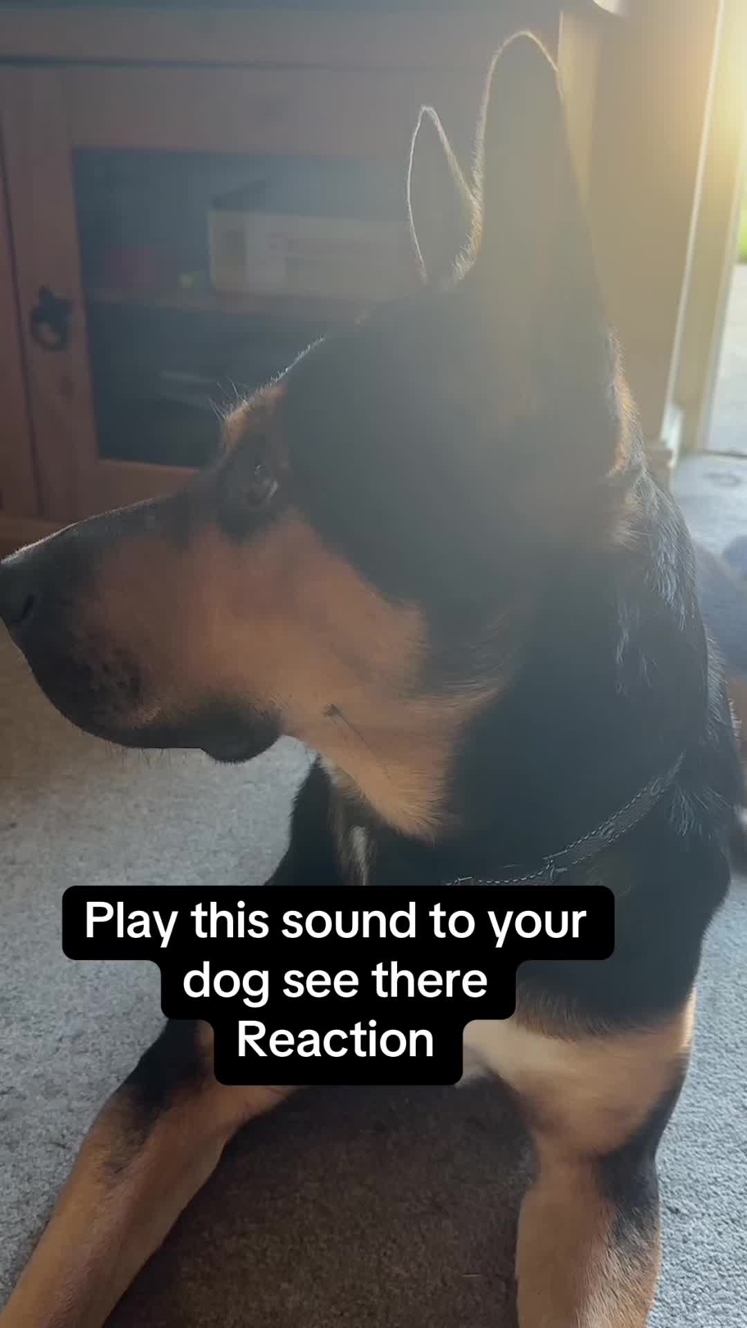 @Owenmusicofficial😈🤴🎤