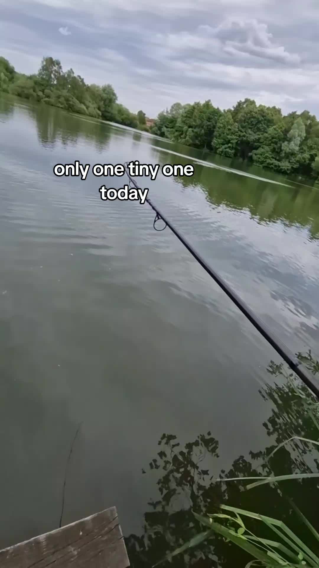 @Carpy Brez