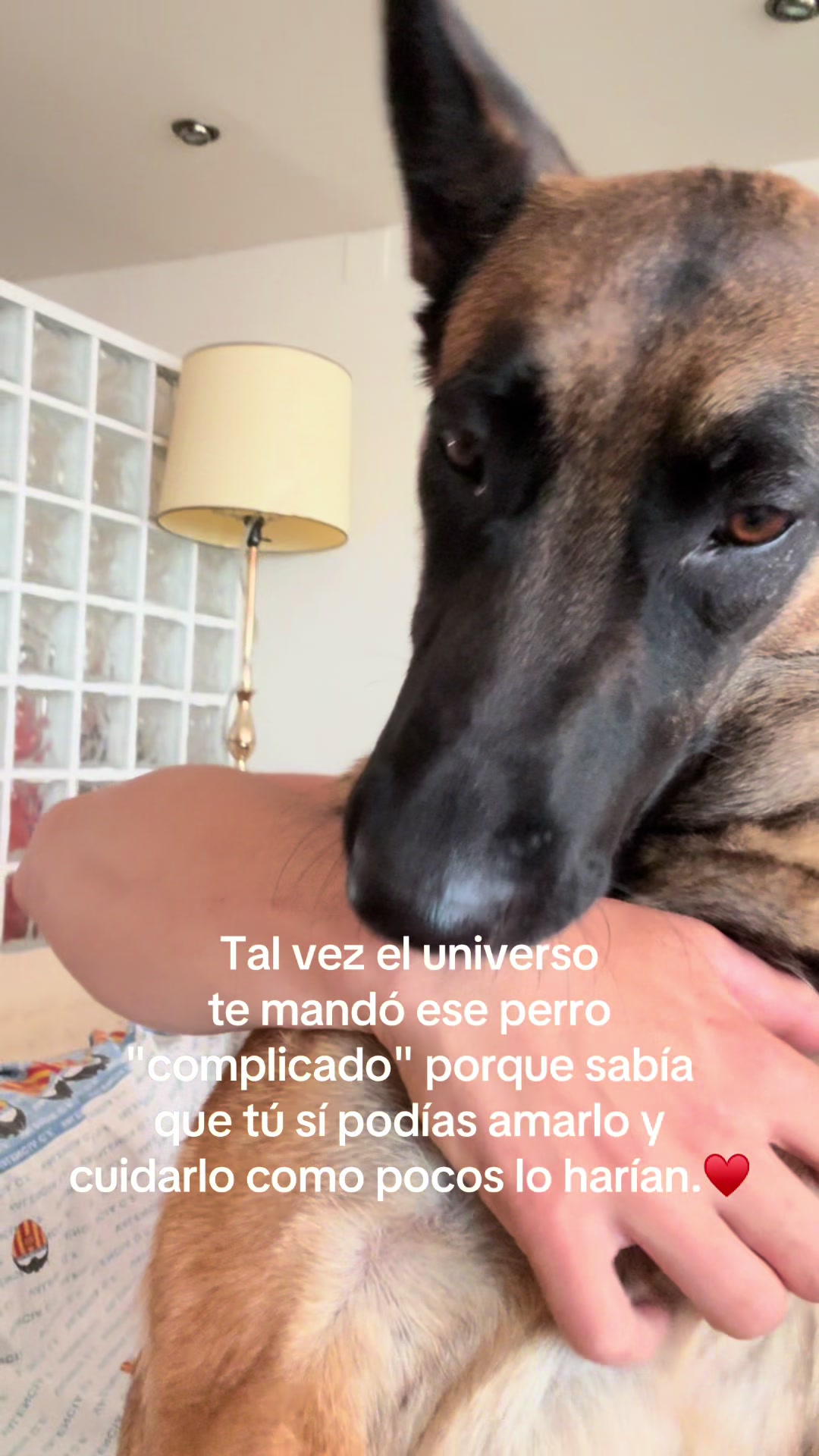 @Lobalobita