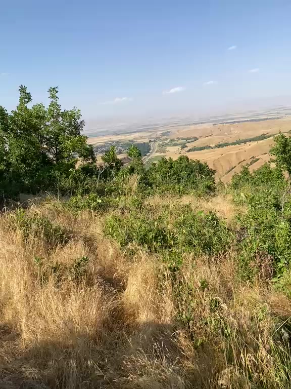 @yetkin497
